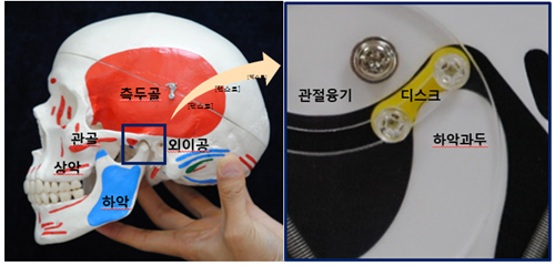 치과 치과